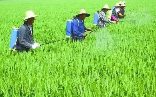 太陽能殺蟲燈哪家好？不能只圖價(jià)格便宜，否則得不償失