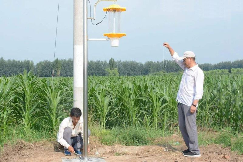 太陽能夜蛾殺蟲燈專治各種農業(yè)蛾類害蟲