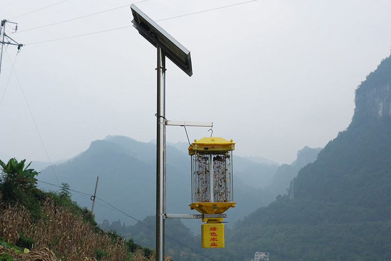 湖北太陽能殺蟲燈價(jià)格多少錢