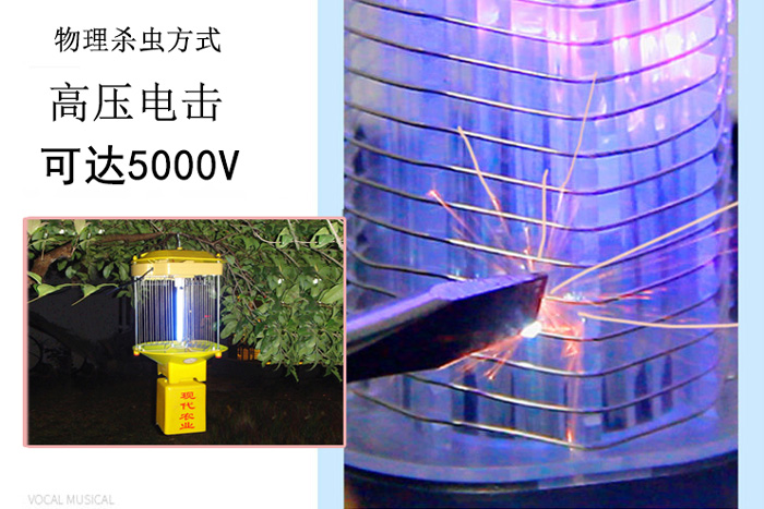 高壓殺蟲燈什么價(jià)格，讓尚科告訴你