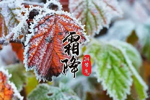 今日霜降，記得收起您的太陽能殺蟲燈