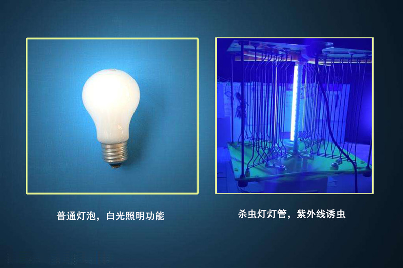殺蟲燈可以用普通燈泡嗎？