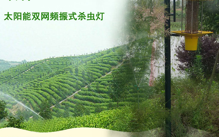 高桿式太陽能殺蟲燈應用于江西會昌縣林業(yè)圖片