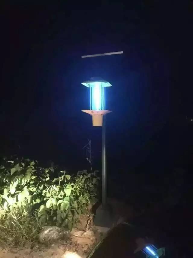 太陽能殺蟲燈哪家好？尚科殺蟲燈夜間工作圖片