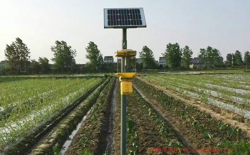 濟(jì)寧蔬菜種植園菜地太陽(yáng)能殺蟲(chóng)燈