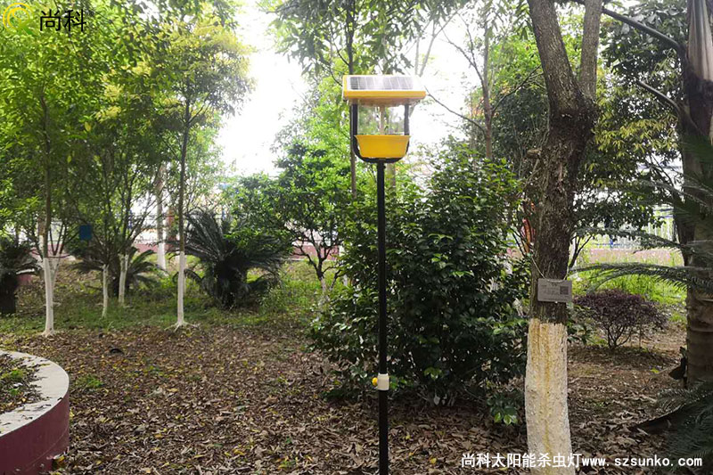 廣西南寧殺蟲燈用于某園林式機(jī)關(guān)大院效果圖片