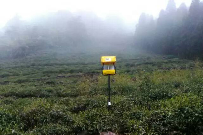 水淹式茶園殺蟲(chóng)燈物理除蟲(chóng)