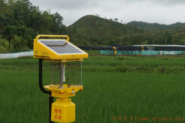江西虎蛙稻種植基地安裝使用的太陽(yáng)能殺蟲燈