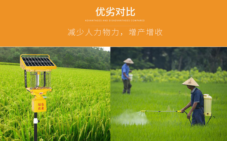 太陽(yáng)能殺蟲(chóng)燈助力水稻田害蟲(chóng)防治