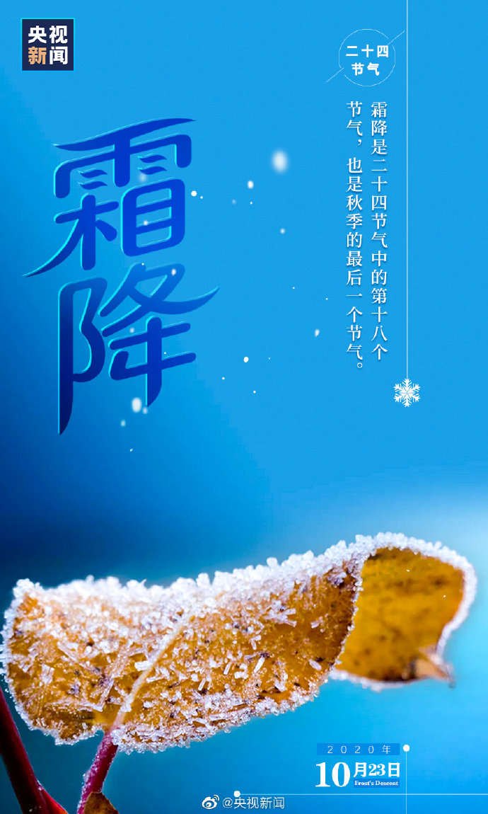 二十四節(jié)氣霜降海報