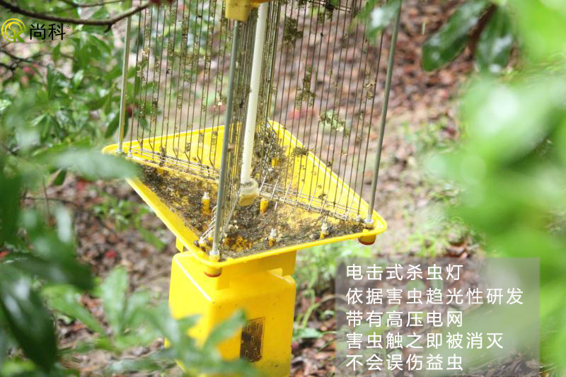 果園殺蟲燈哪種好？電擊式果園殺蟲燈效果好