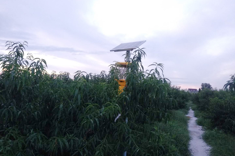 黑光燈多少錢？確定好黑光燈種類，不要買錯了