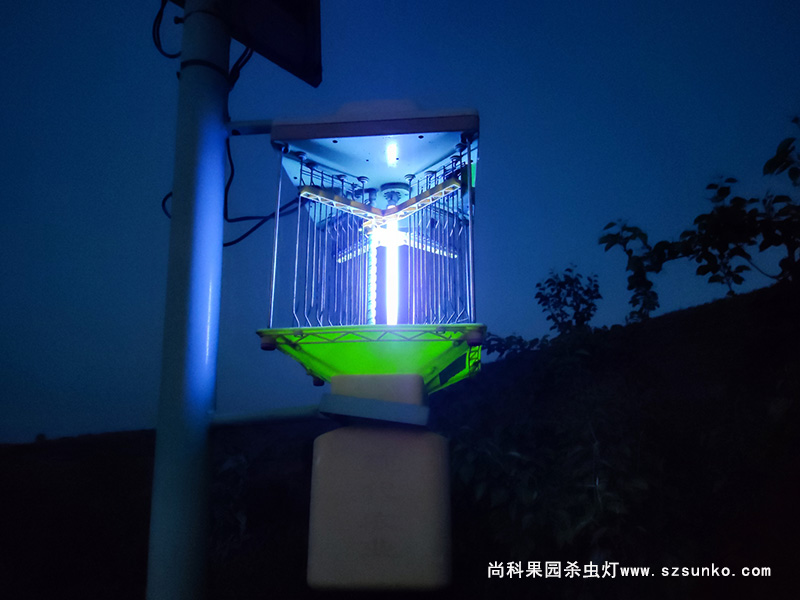 用了3年的果園太陽能殺蟲燈照樣亮燈工作