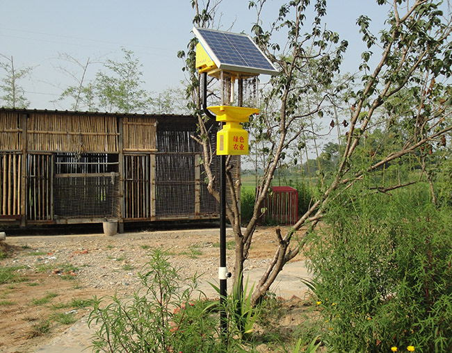 庭院太陽能殺蟲燈：高效、安全的驅(qū)蟲神器