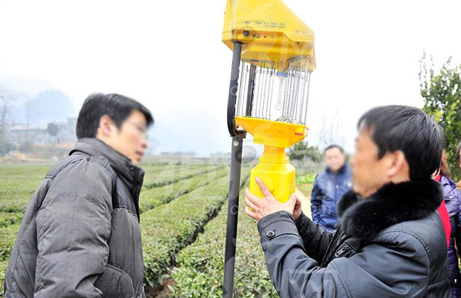 有機蔬菜太陽能殺蟲燈有什么特點