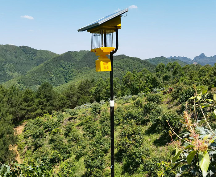 風(fēng)吸式太陽能殺蟲燈工作原理，總共5個步驟