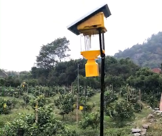 果園殺蟲燈每畝幾個(gè)，效果怎么樣